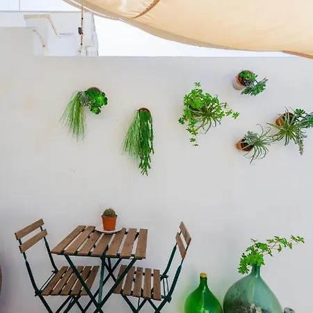 펜션 Palazzo Dims 폴리나노 아마레